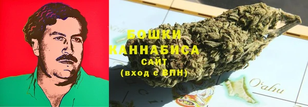 ПСИЛОЦИБИНОВЫЕ ГРИБЫ Абаза