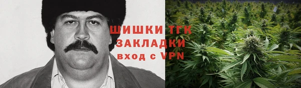 ПСИЛОЦИБИНОВЫЕ ГРИБЫ Абаза