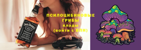 ПСИЛОЦИБИНОВЫЕ ГРИБЫ Абаза