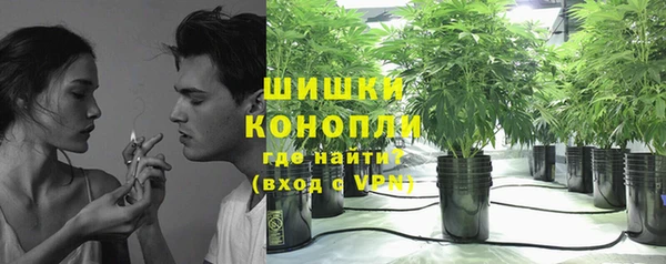 ПСИЛОЦИБИНОВЫЕ ГРИБЫ Абаза
