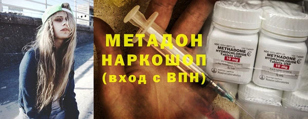 ПСИЛОЦИБИНОВЫЕ ГРИБЫ Абаза