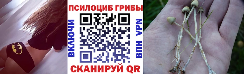 купить закладку  Тарко-Сале  Псилоцибиновые грибы MAGIC MUSHROOMS 